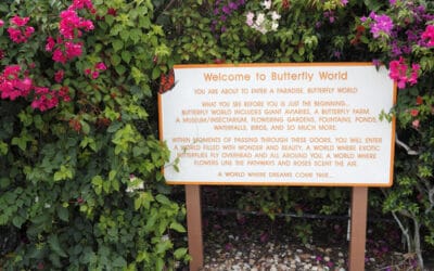 Butterfly World in South Florida