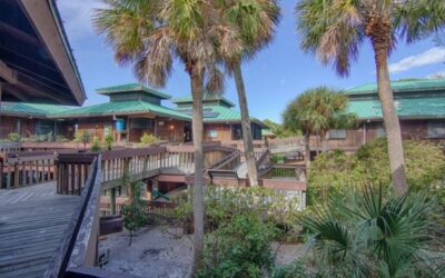 Gumbo Limbo Nature Preserve