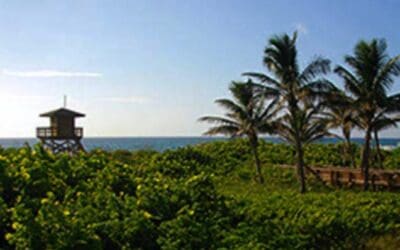 Red Reef Park Boca Raton