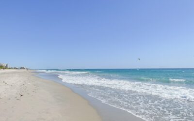 Bark Park Dog Beach in Boca Raton