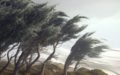 Why Hurricanes Don’t Hit Boca Raton: Explained