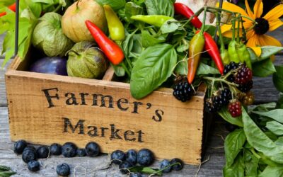 Best Places Near Boca Raton for Fresh Fruits and Vegetables