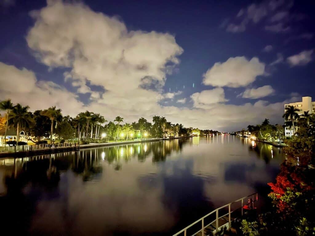 a body of water surrounded by palm trees