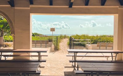 Discover the Best Beaches from Delray to Boca Raton