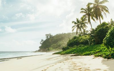 Unwind on Nature Walks in Boca Raton, Florida: Explore the Best Trails and Parks