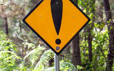 Kosher Scandal in Florida: Non-Kosher Food Served at “Kosher” Event By HaShuk Catering Sparks Outrage